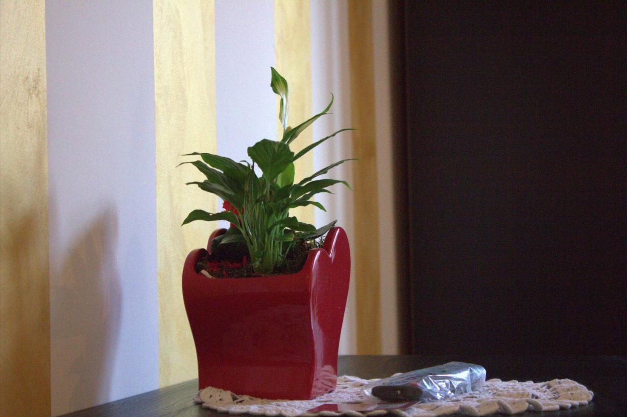 Bed and Breakfast Fiumicinoa57 Екстер'єр фото